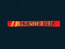 Monster Birds