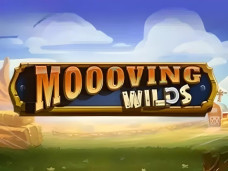 Moooving Wilds