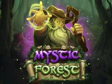 Mystic Forest