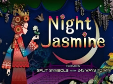 Night Jasmine