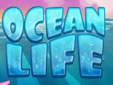 Ocean Life