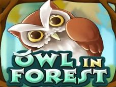 Owl In Forest