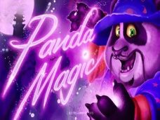 Panda Magic