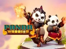 Panda Warrior