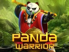 Panda Warrior