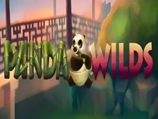 Panda Wilds