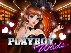 Playboy Wilds