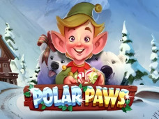 Polar Paws