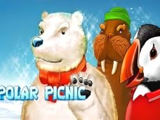 Polar Picnic