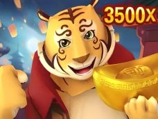 Prosperity Tiger