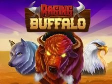 Raging Buffalo