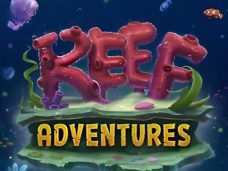 Reef Adventures