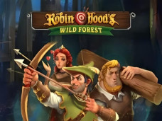 Robin Hoods Wild Forest