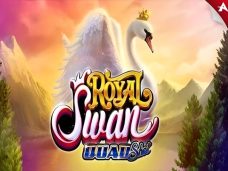 Royal Swan