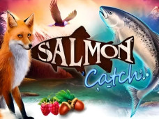 Salmon Catch