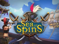 Sea of Spins