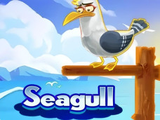 Seagull