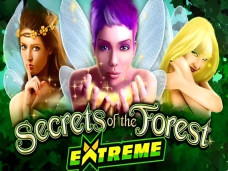 Secrets of the Forest Extreme