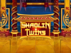 Shaolin Twins