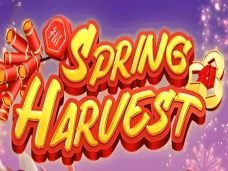 Spring Harvest