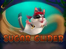 Sugar Glider