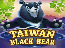 Taiwan Black Bear