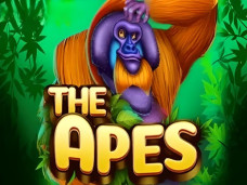 The Apes