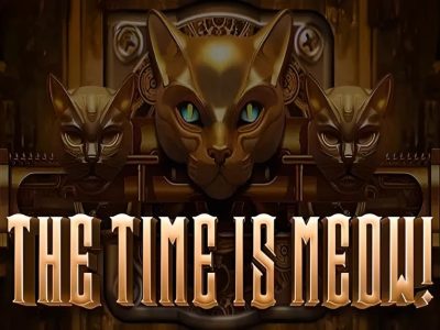 The Time is Meow