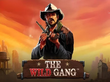 The Wild Gang