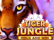 Tiger Jungle Hold and Win