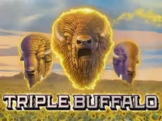 Triple Buffalo