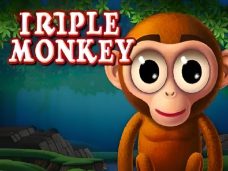 Triple Monkey