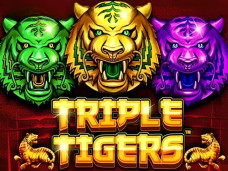 Triple Tigers