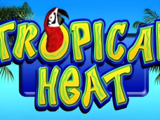 Tropical Heat