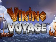 Viking Voyage