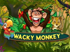 Wacky Monkey