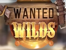 Wanted Wilds