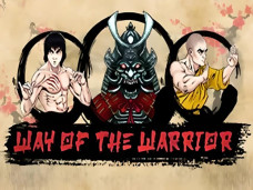 Way Of The Warrior