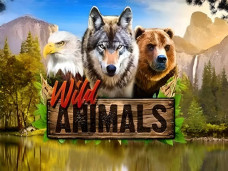 Wild Animals