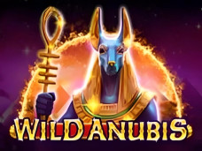 Wild Anubis