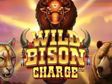 Wild Bison Charge