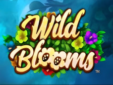 Wild Bloom