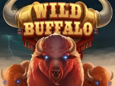 Wild Buffalo