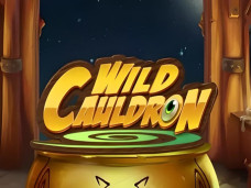 Wild Cauldron