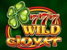 Wild Clover