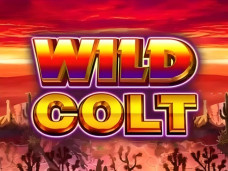 Wild Colt