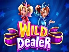 Wild Dealer