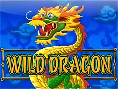 Wild Dragon