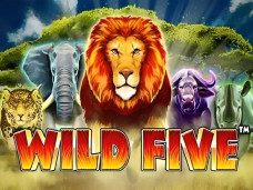 Wild Five