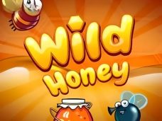 Wild Honey